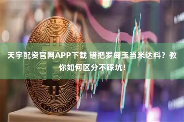 天宇配资官网APP下载 错把罗甸玉当米达料？教你如何区分不踩坑！